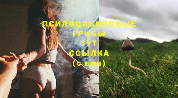 не бодяженный Верея