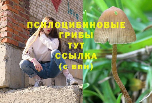 не бодяженный Верея